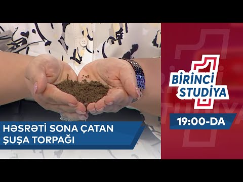 Video: Eyni Cinsli Evliliklə Sona çatan 