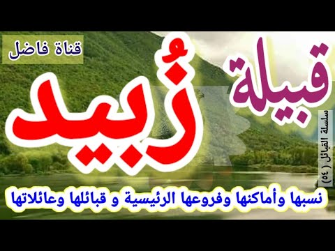 قبيلة ز بيد نسبها وأماكنها وأفرعها الرئيسية الكبرى وقبائلها وعائلاتها 