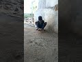 Super Goli Aata 