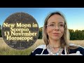 NEW MOON in SCORPIO 13 November All Signs Horoscope: A Jolt into the Future✨