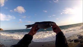 Shore Fishing - Surf Fishing for Sea Bass with Metal Lures