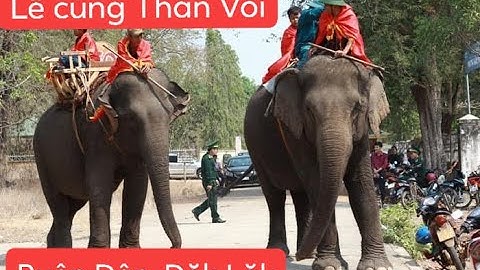 Lễ Cúng Thần Voi Buôn Đôn | Du Lịch Buôn Đôn
