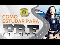 Como estudar para a PRF | Daniel Sena