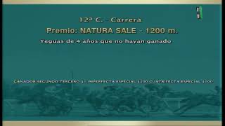 Carr. 12 Premio: NATURA SALE 04/07/23