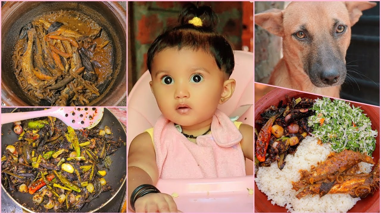 බිංදුට දැන් සනිපයි යාලුවනේ 😊 ( හුරුල්ලෝ මාලු මිරිසට හදලා බටු මොජු හැදුවා ) Our lunch for the day 🍽😋