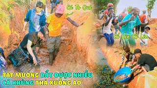 Quanglinhvlogs || Tát Mương Bắt Được Rất Nhiều Cá Khủng Để Chuyển Sang Áo Sinh Sống