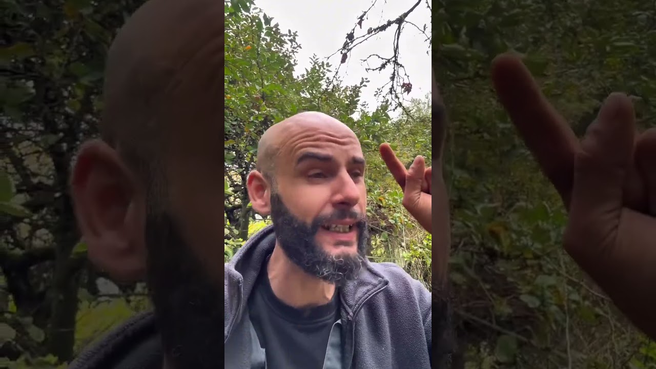 كلاهم ماخلا فيهم والو