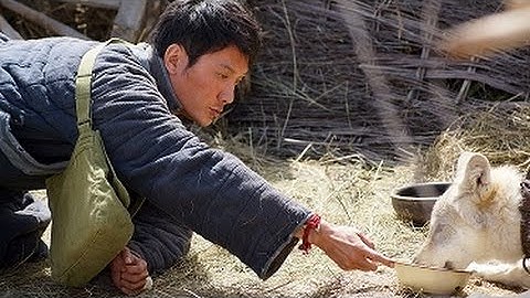 『セブン・イヤーズ・イン・チベット』などのジャン＝ジャック・アノー監督が手掛けた感動作！映画『神なるオオカミ』予告編