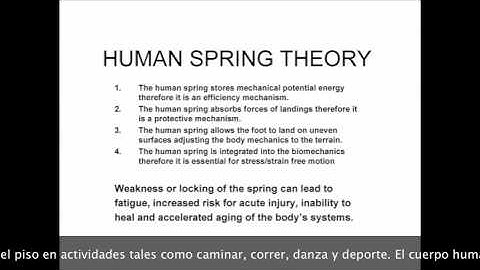 Video Tutorial #7 The Four Primary Functions Of The Human Spring Mechanism