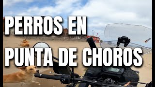 DE LA SERENA A PUNTA DE CHOROS - VIAJANDO POR EL NORTE DE CHILE - SIGO VIAJE
