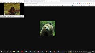 DM 4 Learn HTML with Code Academy