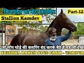 देखिए Krishna Ranch Stud Farm की शान विजय देव का बेटा कामदेव ! Stallion Kamdev