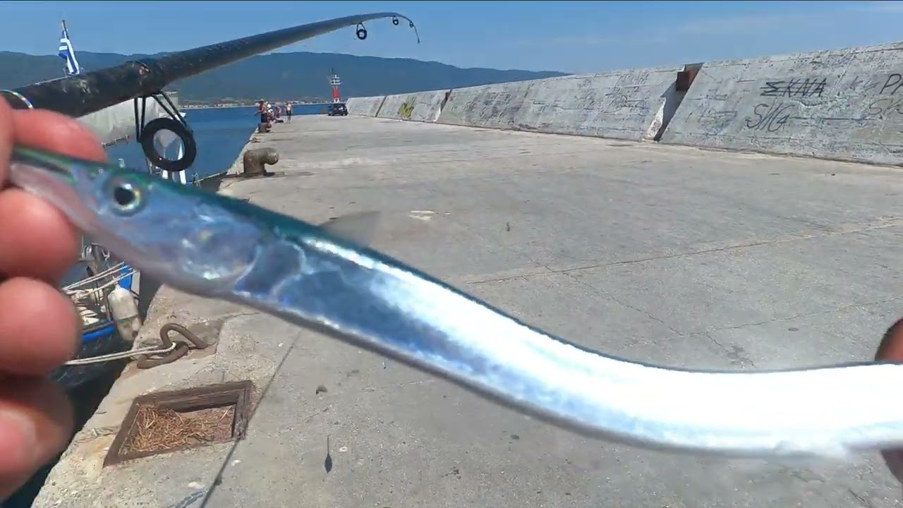 Риболов в Гърция ,заргани кокали ,спари