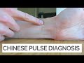 Chinese Pulse Diagnosis: A Beginner