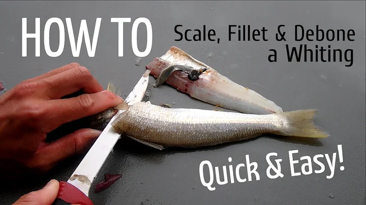 HOW TO: Scale, Fillet and Debone a Whiting - DayDayNews
