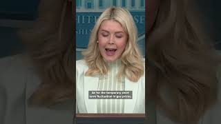 WH Press Secretary Karoline Leavitt says, "We're going to see prices at the pump go back down..."