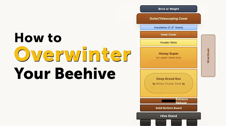 Beekeeping 101: How I Overwinter a Beehive in PA