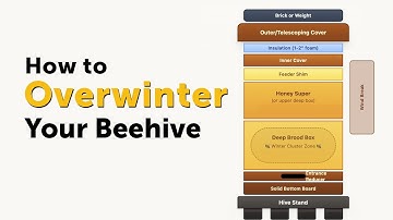 Beekeeping 101: How I Overwinter a Beehive in PA