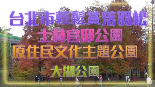 台北市輕鬆賞落羽松:士林官邸,原住民文化主題公園,大湖公園2023.01.02