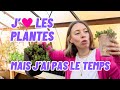 Comment choisir mes plantes si jai pas la main verte ou juste pas le temps 