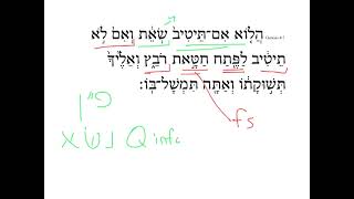 Genesis 4:7 HebrewDaybyDay