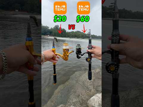 $20 vs $60 Temu Fishing Combo!