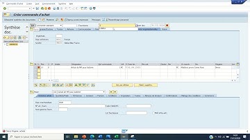 SAP - SAISIE D’UNE COMMANDE D’ACHAT ASSOCIÉE A UN ORDRE INTERNE (ME21N) G11