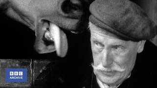 1960: A Yorkshire Horse Breaker | Tonight | BBC Archive