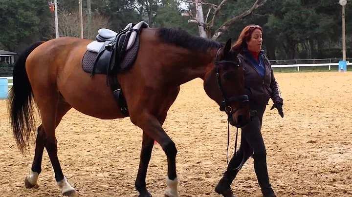 Training Advice from Deborah Glover