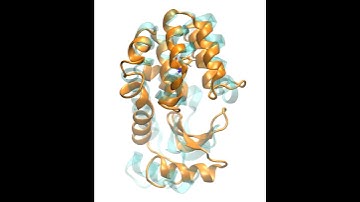 Capturing Invisible Motions in the Transition from Ground to Rare Excited States of T4 Lysozyme L99A