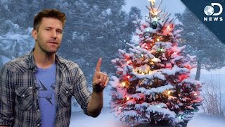 Christmas Trees: Real vs. Fake Christmas Trees: Real vs. Fake
