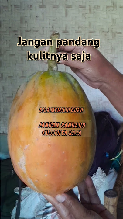 JANGAN PANDANG KULITNYA SAJA music