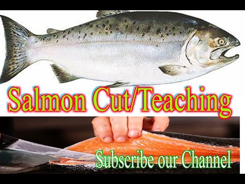 Salmon Cutting Skill//Teaching//Sushi//Nepali//Durga