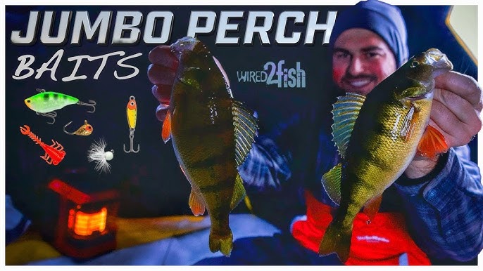 Holographic Ice/Panfish Baits 10pk