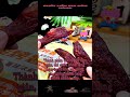 89 Whole Red Yao Roasted Sweet Potato Chips are so delicious you can 39t stop eating them #Trending