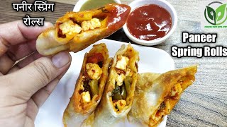 Paneer masala spring roll । Jain paneer spring roll । Paneer spring roll