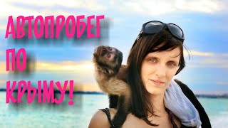 2018.07.24 Обезьяна капуцин Масяня. Автопробег по Крыму. 2018.07.24 Обезьяна капуцин Масяня. Автопробег по Крыму.