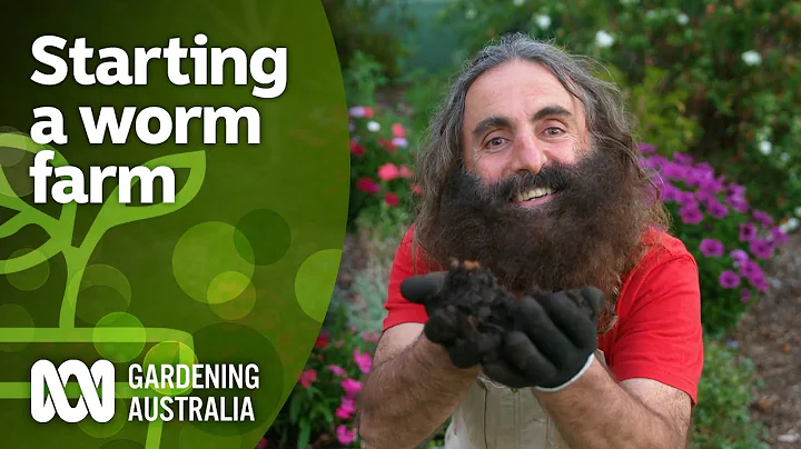 How to start a worm farm | DIY Garden Projects | Gardening Australia