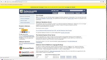 Download files using selenium | LetCode