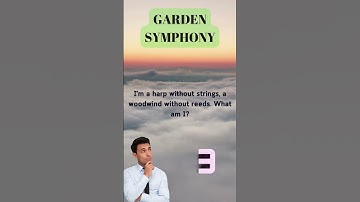 Riddle Odyssey: Embark on an Epic Journey of Mind Games!