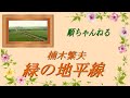 緑の地平線/楠木繁夫