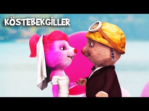 Kösteban ile Köstepem Evlendi | Köstebekgiller: Perili Orman Animasyon Filmi