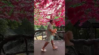 Arifə Və Emilin Teddy Ilə Əyləncəsi