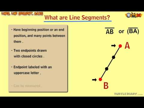 ⁣Every Type of Line Segment *EXPLAINED*