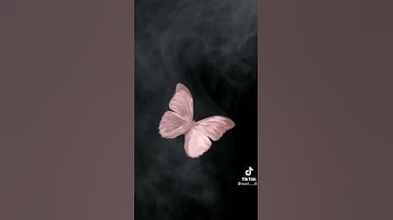 قل ان كنتم تحبون الله فاتبعوني يحببكم الله ويغفر لكم ذنوبكم والله غفور رحيم/ من سورة ال عمران