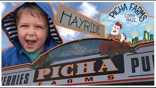 Picha Farms