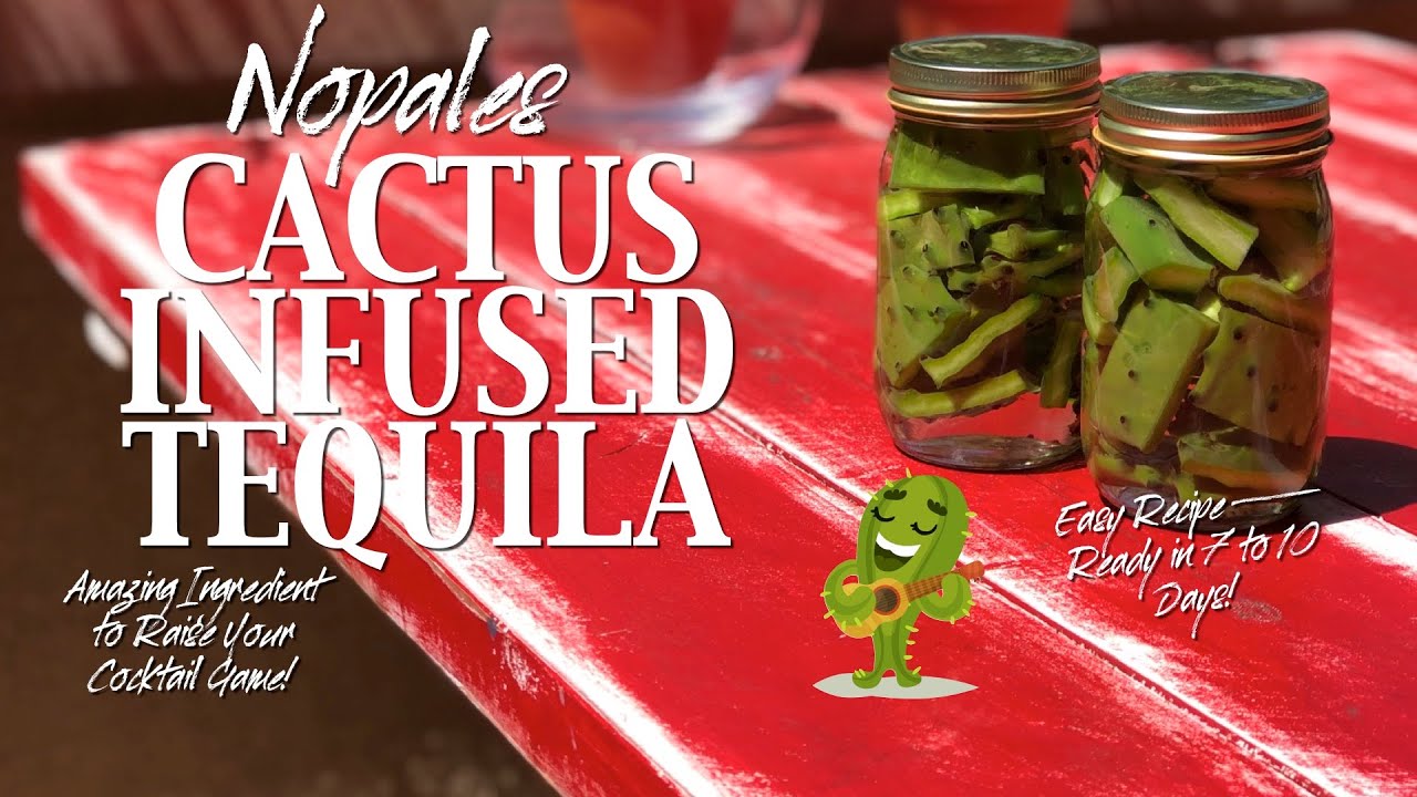 NOPALES CACTUS TEQUILA Tequila Infused With Tangy Cactus Leaves