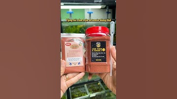 Cám trộn 5 trong 1, loại cám phù hợp với các dòng cá nhỏ, cá thuỷ sinh #fyp #guppy #cabaymau