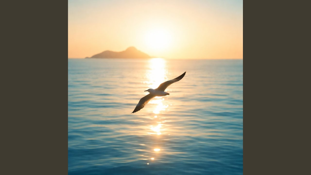 Watch Seabird on YouTube Watch Seabird on YouTube