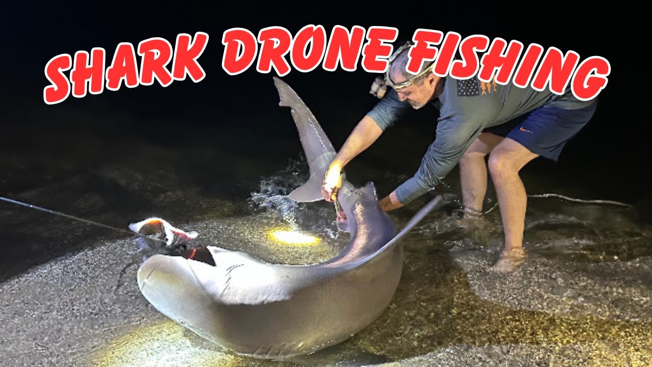 Florida Gulf Coast Land Based Shark Fishing Sharks On The Beach